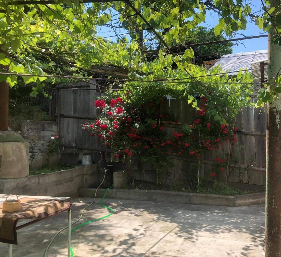 Guest House Anastasia Borjomi Εξωτερικό φωτογραφία