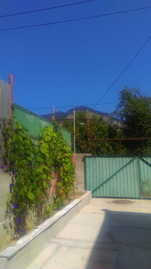 Guest House Anastasia Borjomi Εξωτερικό φωτογραφία
